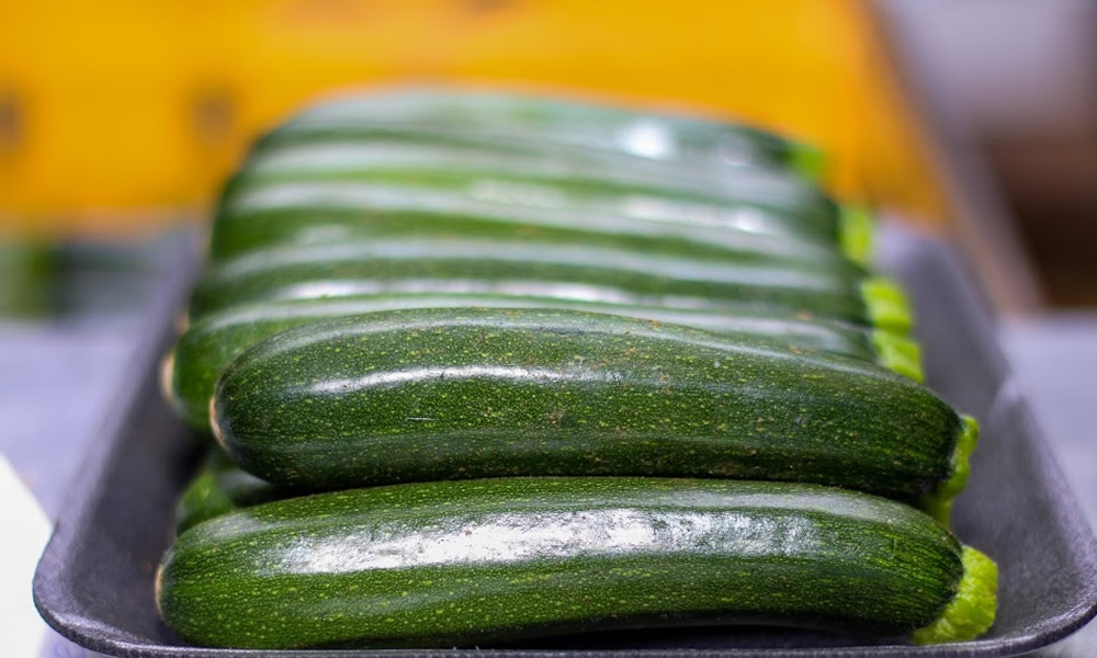 Vegetable Production Guides